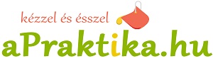 aPraktika logo