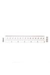 plastic ruler 12cm